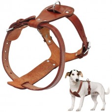 Cat King Leather Harness