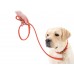 Collar Glamour Red Leash
